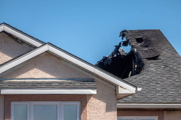 Top rated local Board Up Services specialists in Mora, MN